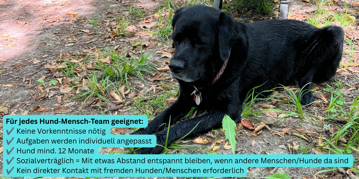 Krimiwanderung mit Hund - Voraussetzungen