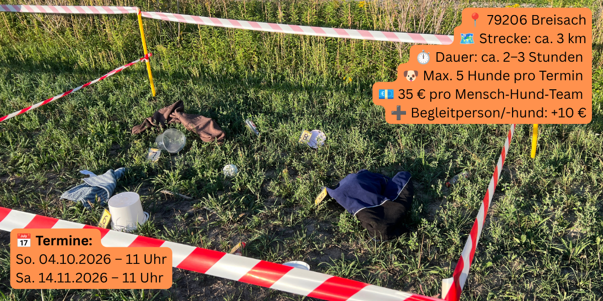 Krimiwanderung mit Hund - Fakten